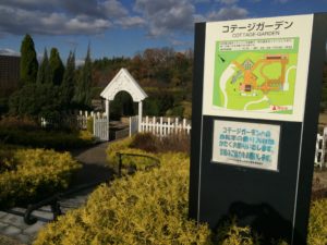 コテージガーデン