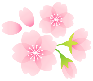 桜の花びら