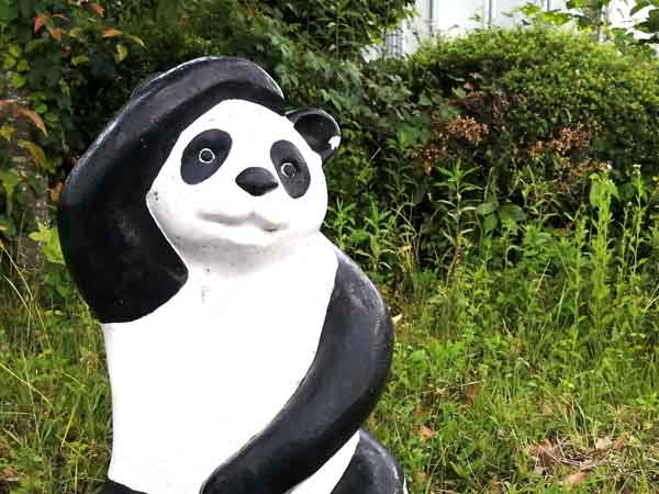 中国の干支・十二支にはパンダがいた？十二支の動物の漢字はなぜ違う？