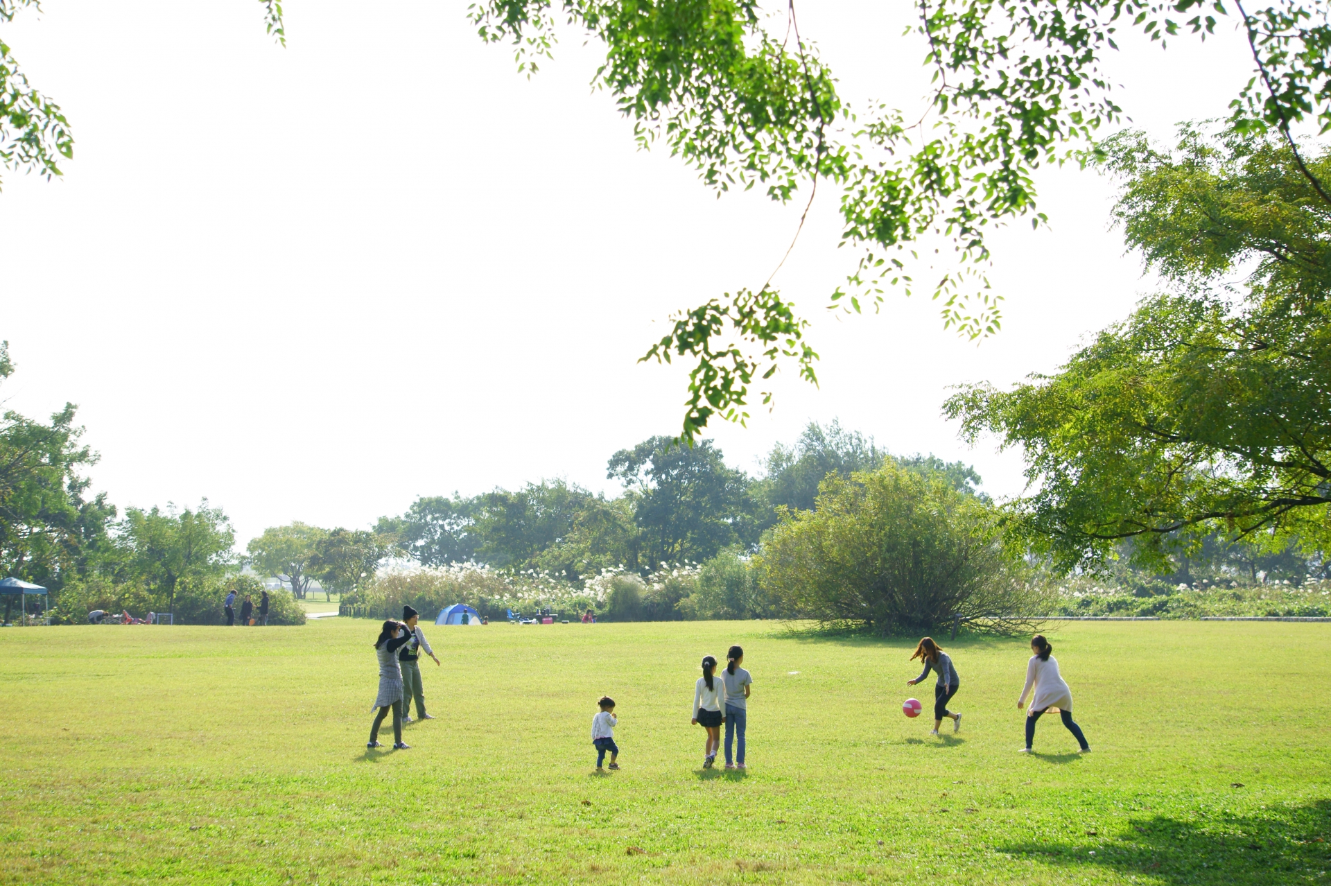 山城総合運動公園