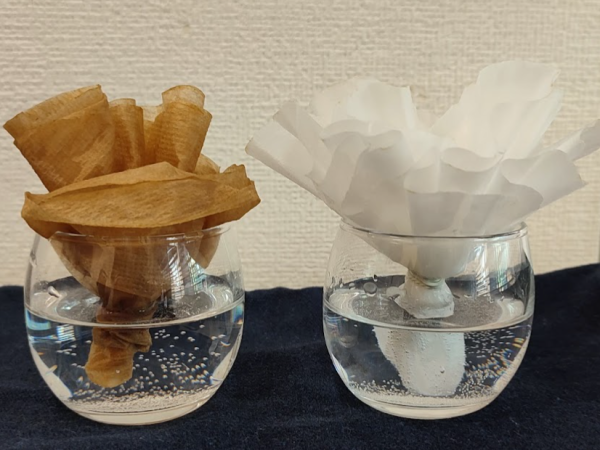 コーヒーフィルターで加湿・比較